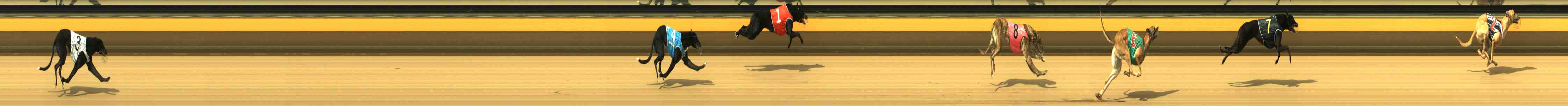 Photo finish for Horsham Race 1