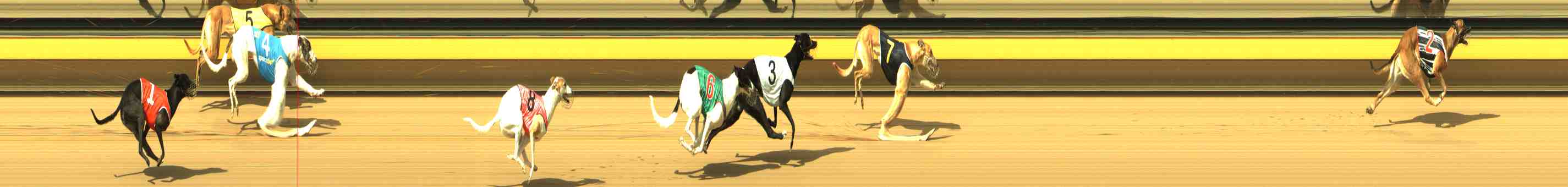 Photo finish for Horsham Race 2
