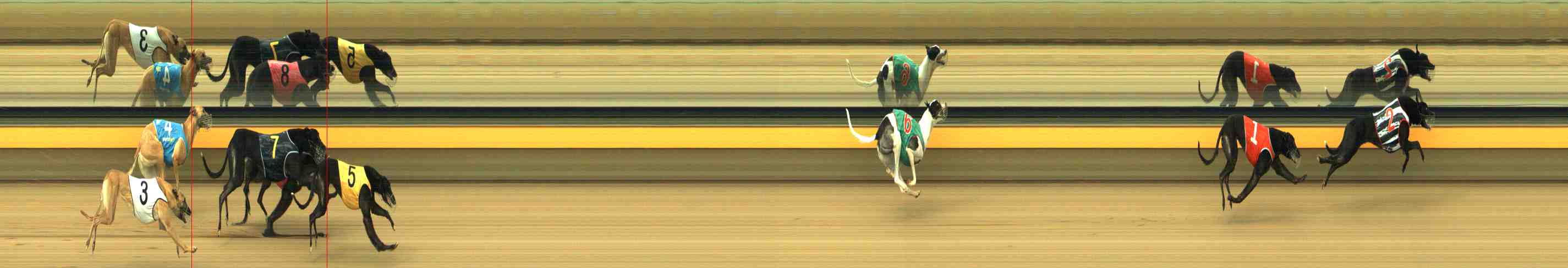 Photo finish for Horsham Race 3
