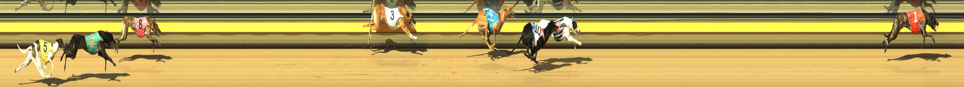 Photo finish for Horsham Race 4