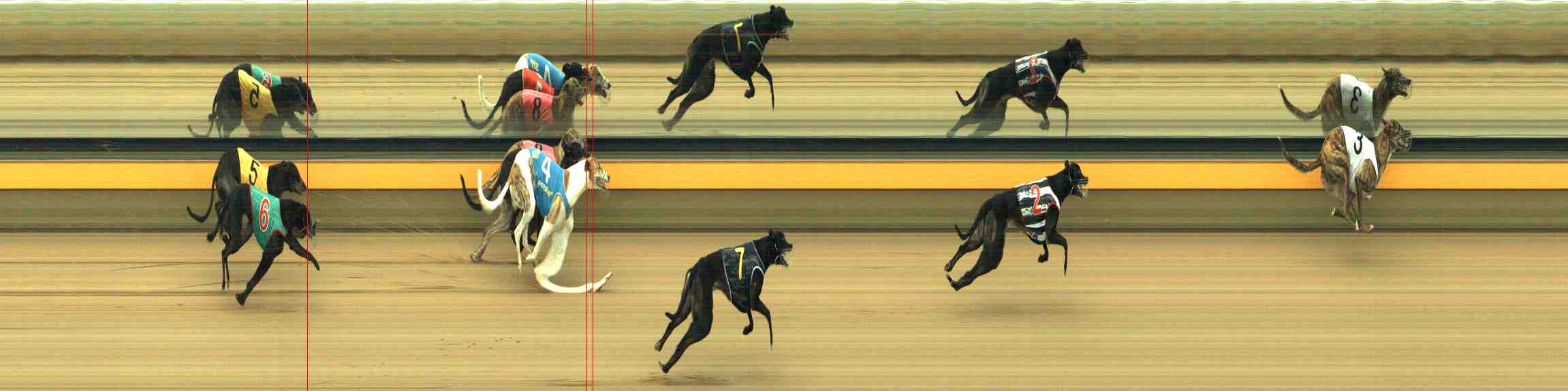 Photo finish for Horsham Race 5