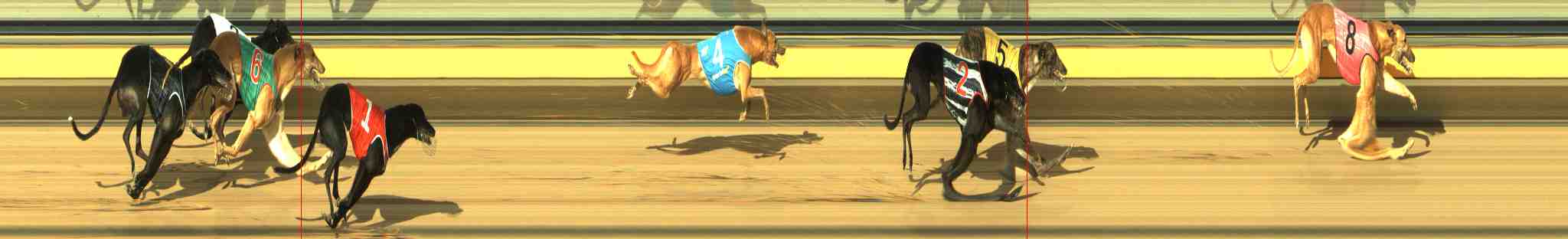 Photo finish for Horsham Race 6