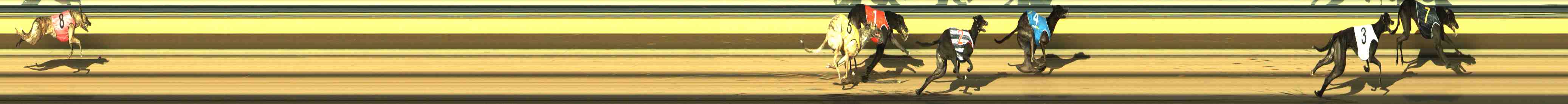 Photo finish for Horsham Race 7