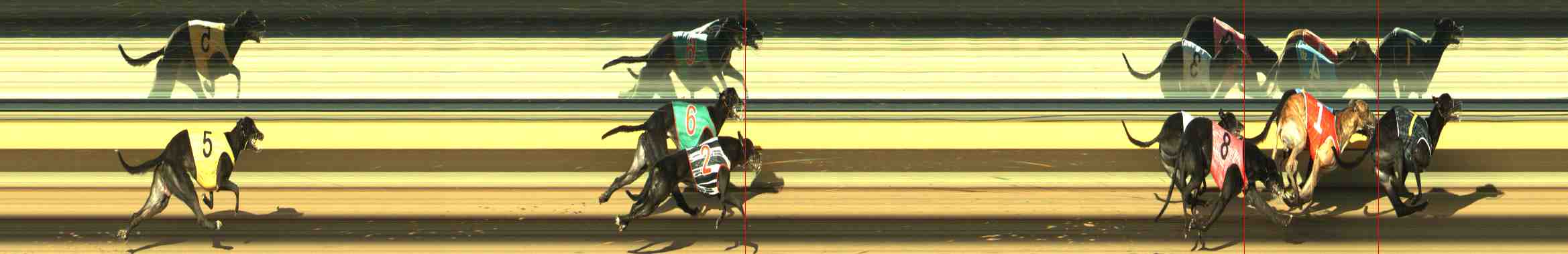 Photo finish for Horsham Race 8