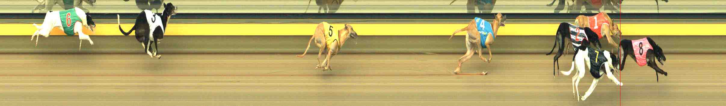 Photo finish for Horsham Race 9