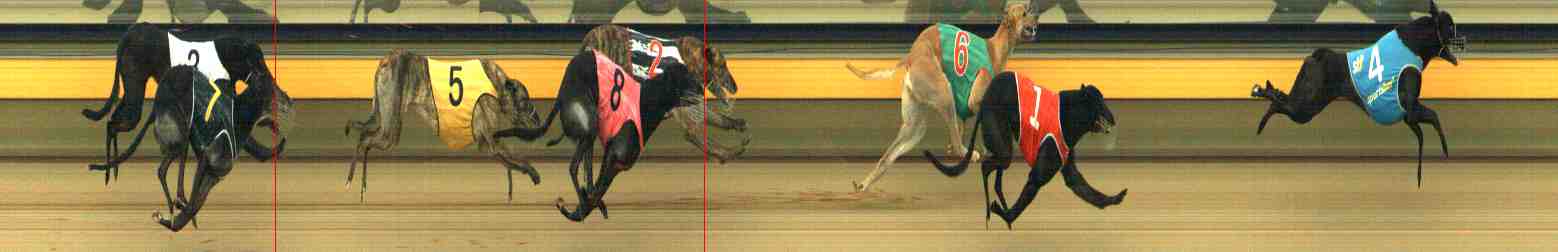 Photo finish for Horsham Race 10
