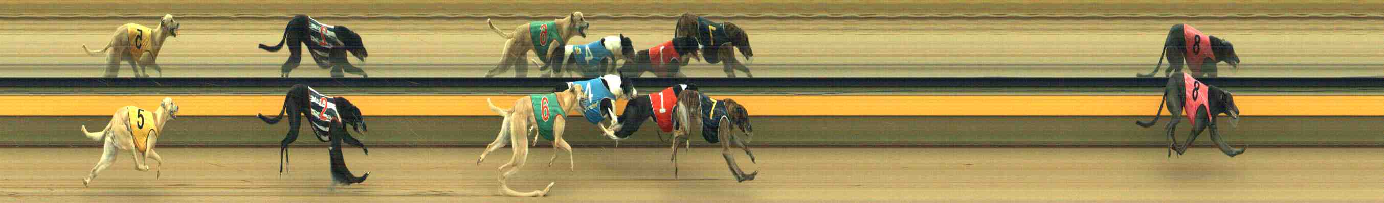 Photo finish for Horsham Race 11
