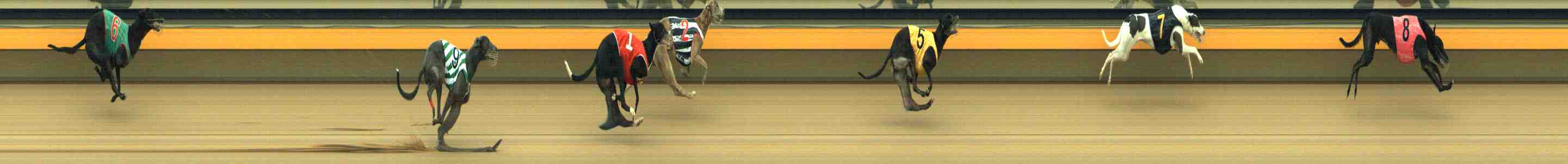 Photo finish for Horsham Race 12