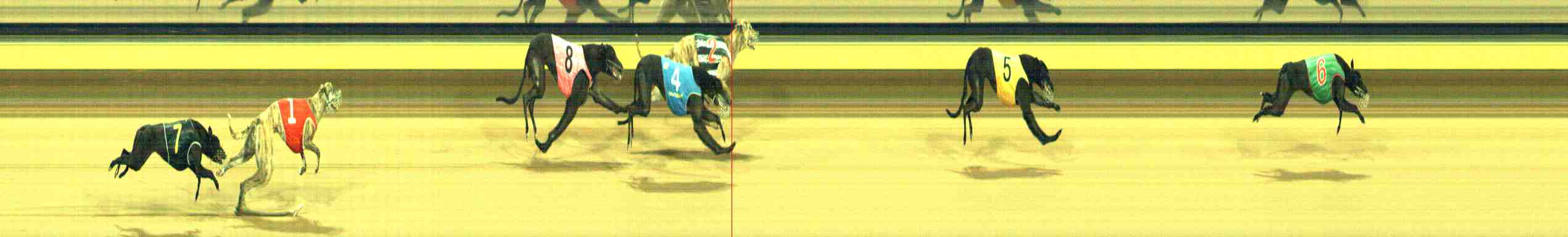 Photo finish for Horsham Race 5