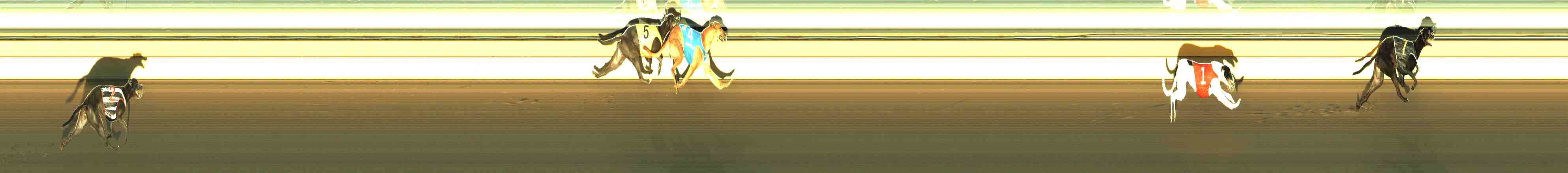 Photo finish for Horsham Race 1