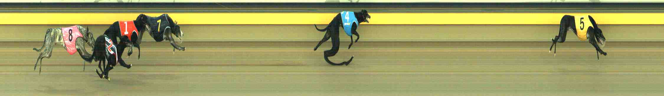 Photo finish for Horsham Race 2