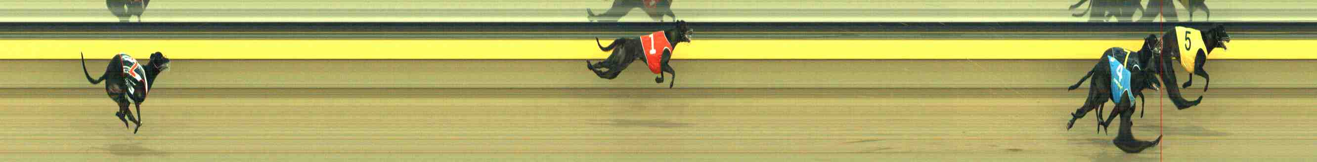 Photo finish for Horsham Race 3