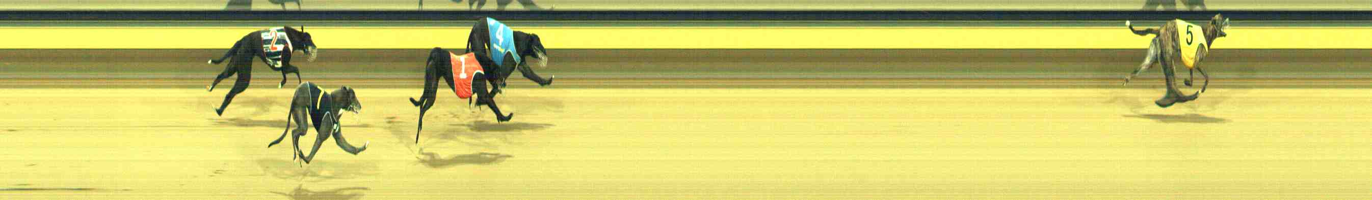 Photo finish for Horsham Race 4
