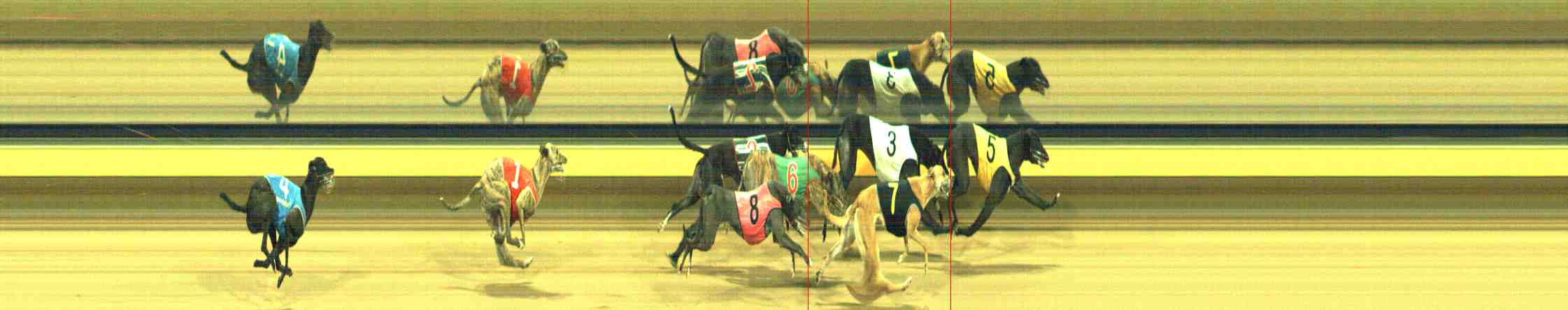 Photo finish for Horsham Race 6