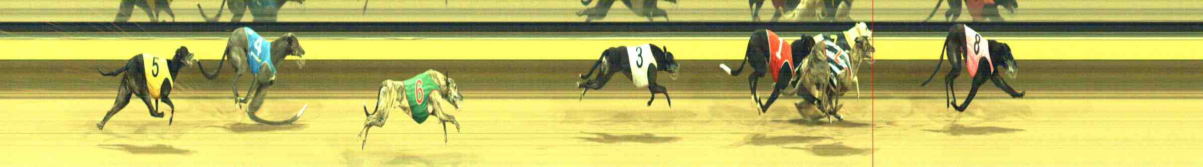 Photo finish for Horsham Race 7