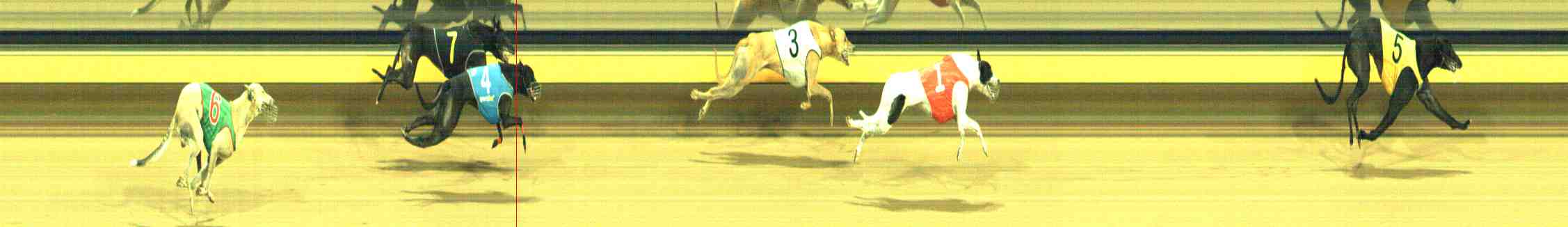 Photo finish for Horsham Race 8