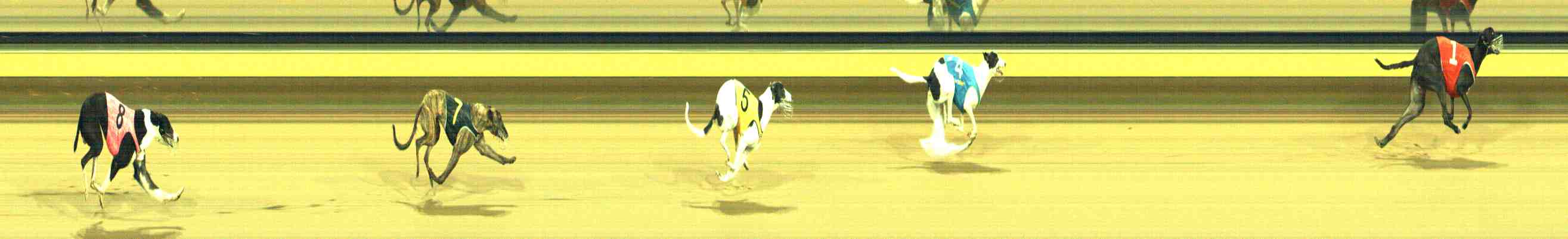 Photo finish for Horsham Race 9
