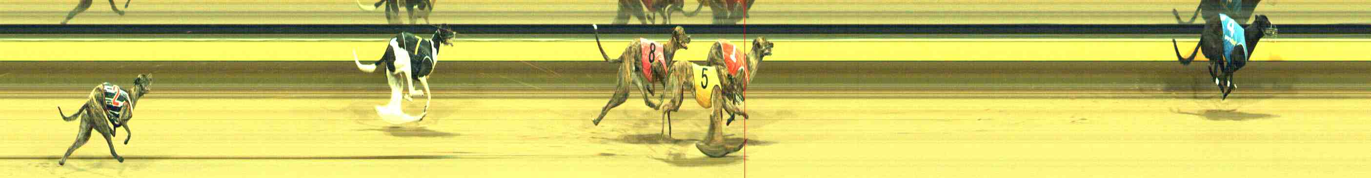 Photo finish for Horsham Race 10