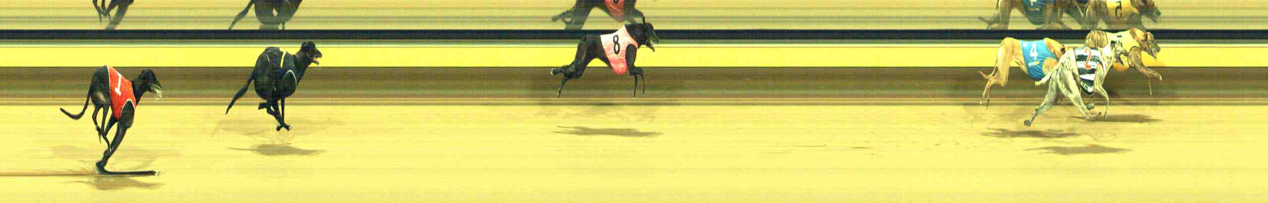 Photo finish for Horsham Race 11