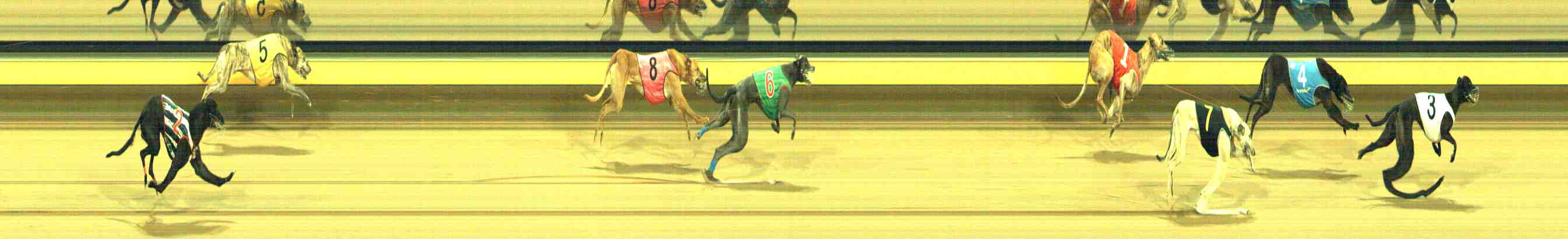 Photo finish for Horsham Race 12