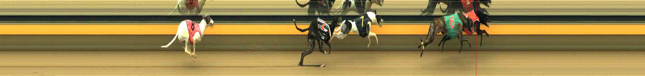 Photo finish for Horsham Race 3