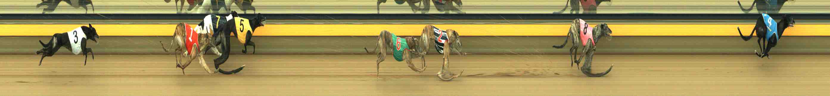 Photo finish for Horsham Race 4