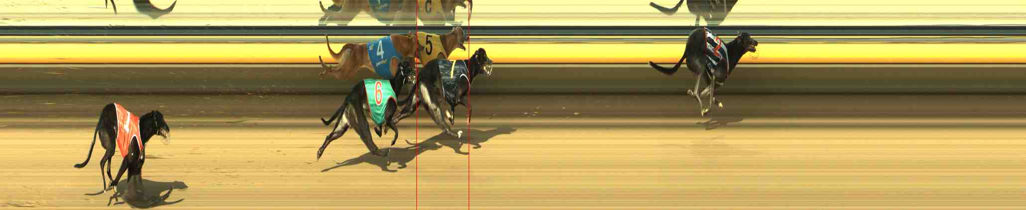 Photo finish for Horsham Race 5