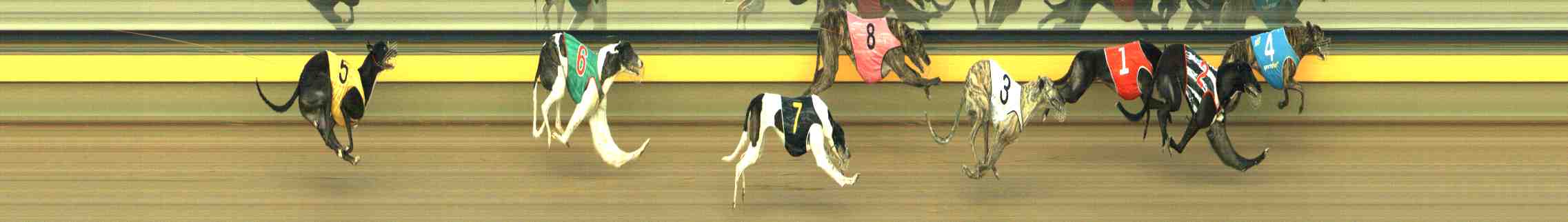 Photo finish for Horsham Race 8