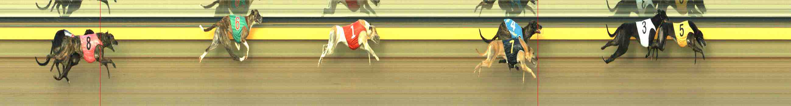 Photo finish for Horsham Race 9