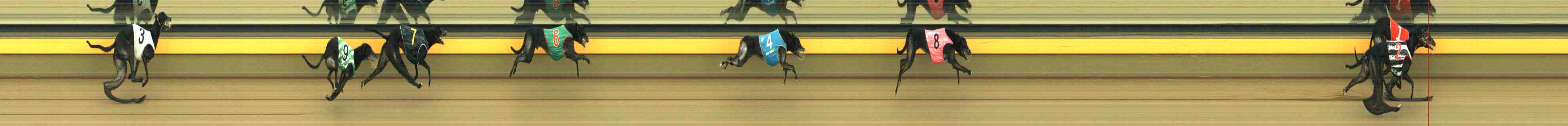 Photo finish for Horsham Race 10