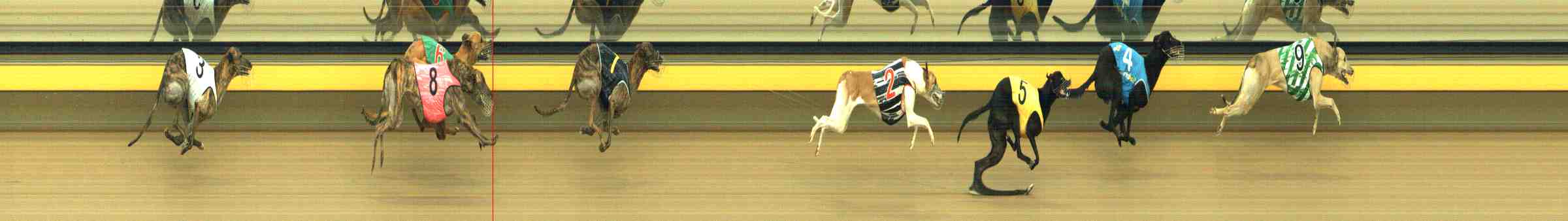Photo finish for Horsham Race 11