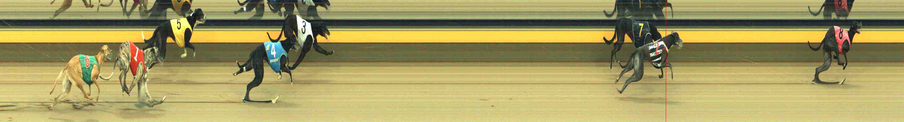 Photo finish for Horsham Race 12
