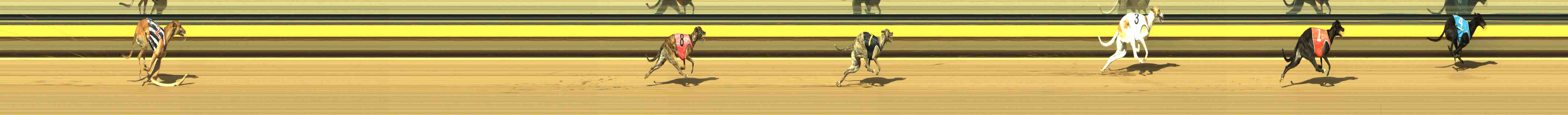 Race result finish photo