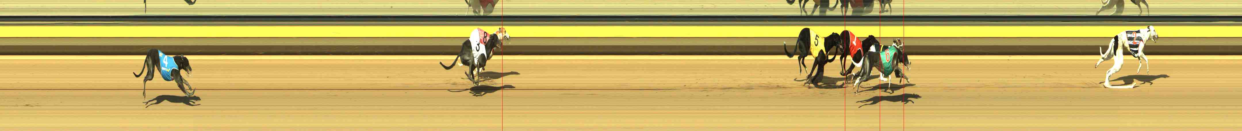 Photo finish for Horsham Race 2