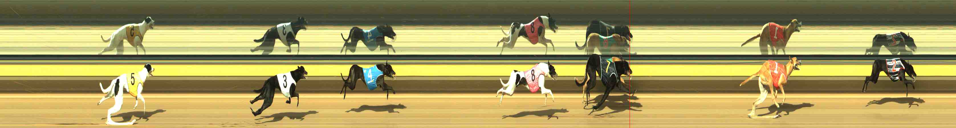 Photo finish for Horsham Race 3