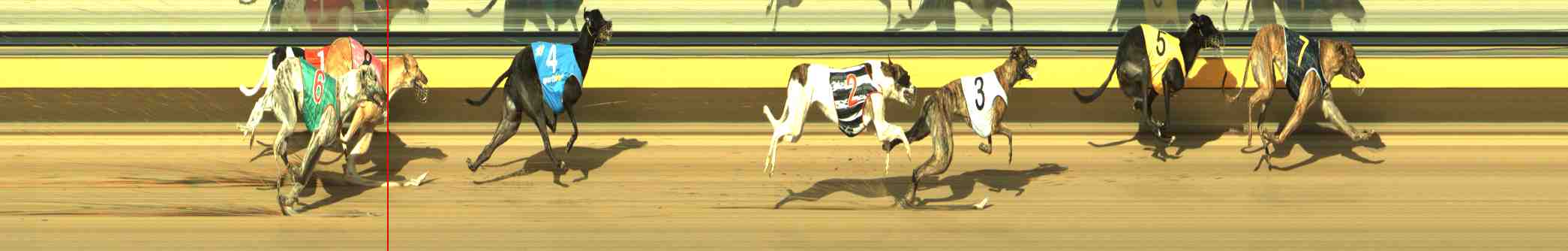 Photo finish for Horsham Race 4
