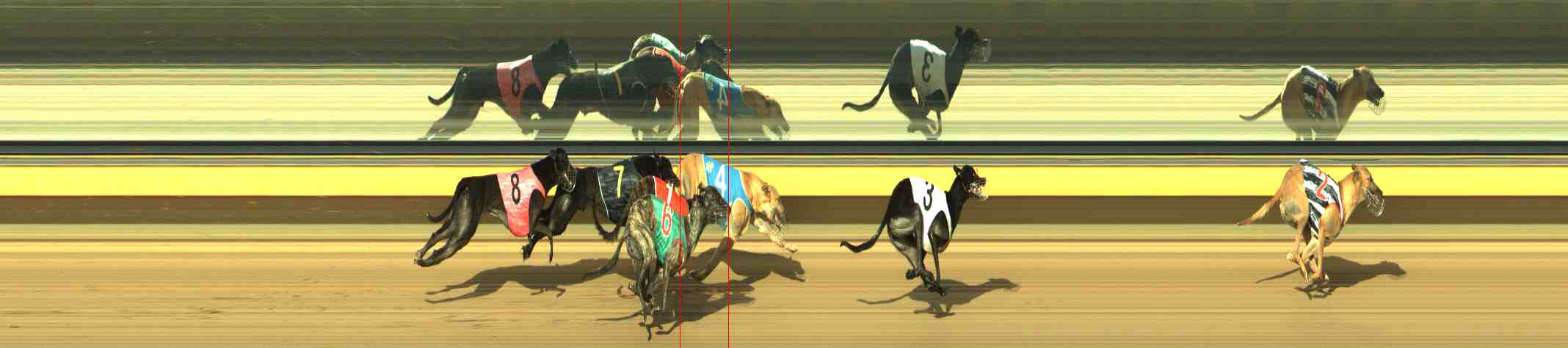 Photo finish for Horsham Race 5