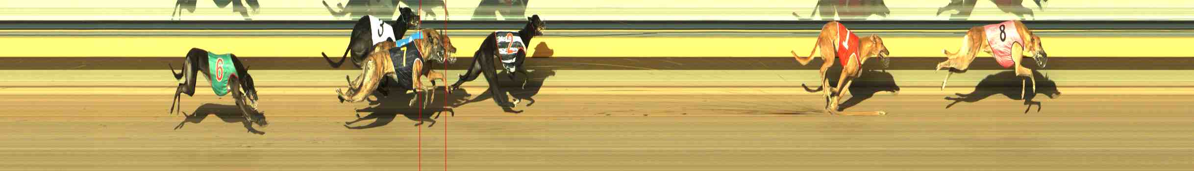 Photo finish for Horsham Race 6