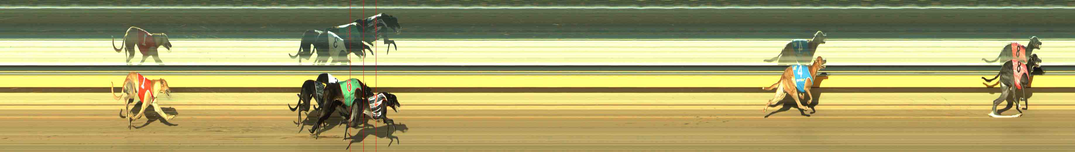 Photo finish for Horsham Race 7