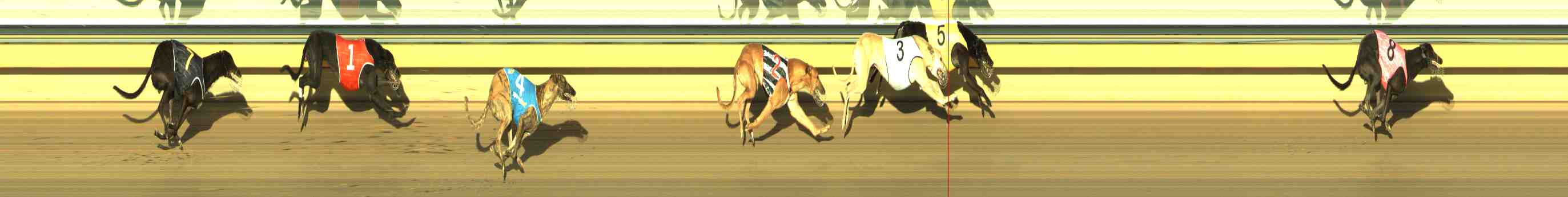 Photo finish for Horsham Race 8