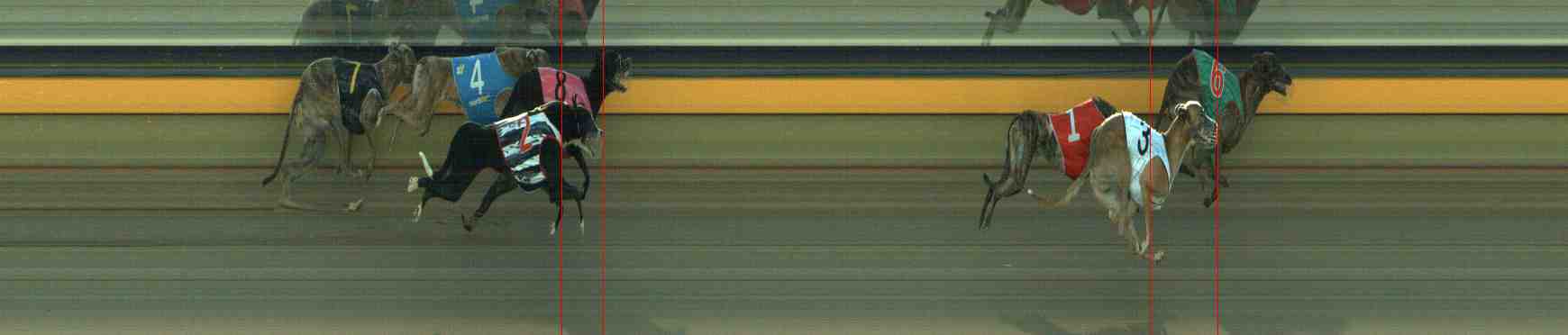 Photo finish for Horsham Race 10