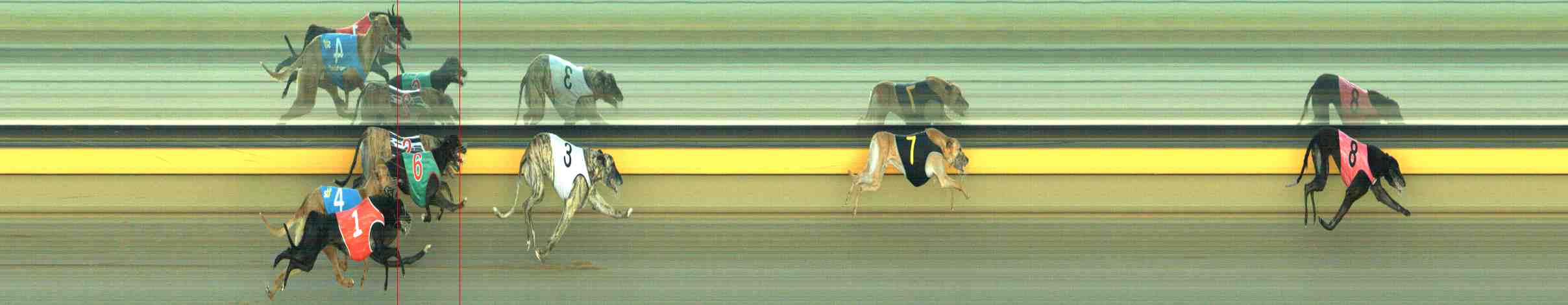 Photo finish for Horsham Race 11