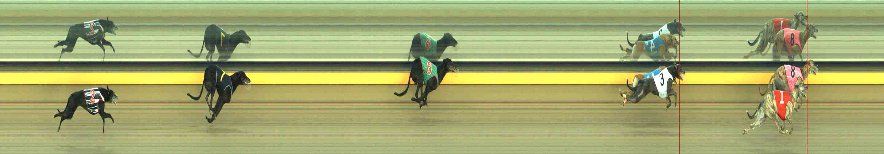Photo finish for Horsham Race 12