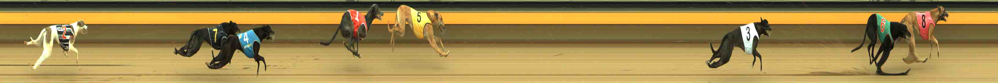 Photo finish for Horsham Race 1