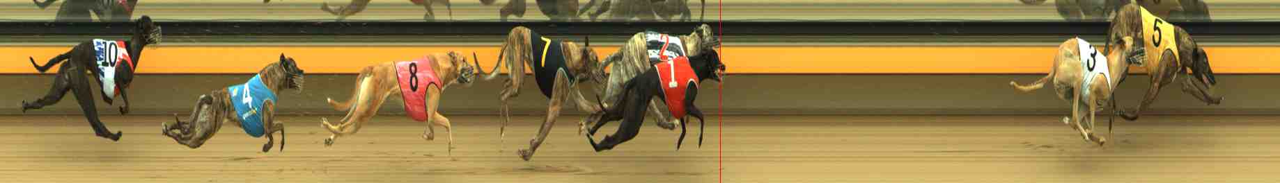 Photo finish for Horsham Race 2