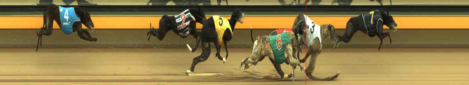 Photo finish for Horsham Race 3