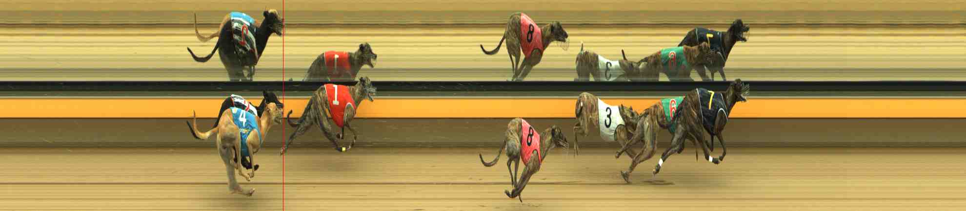 Photo finish for Horsham Race 4