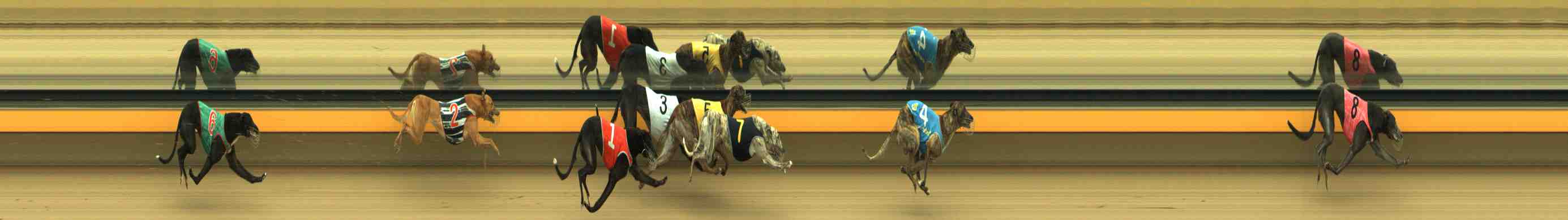 Photo finish for Horsham Race 5
