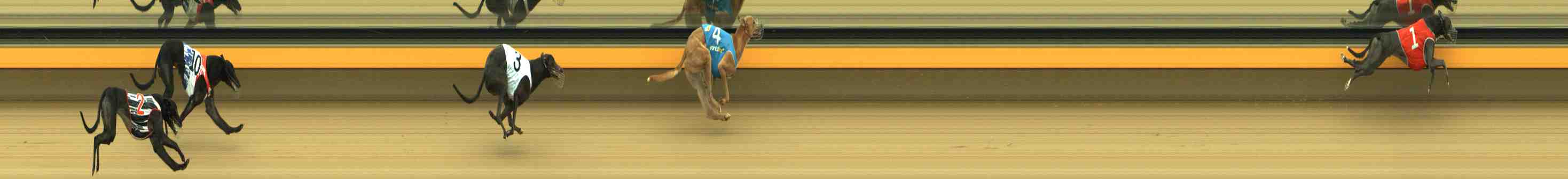 Photo finish for Horsham Race 6