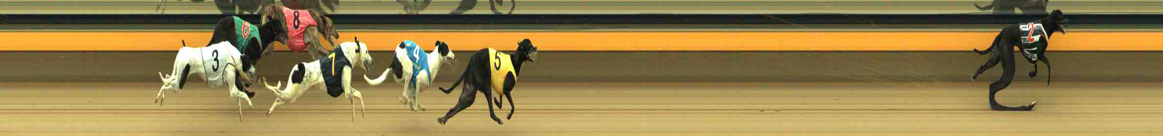 Photo finish for Horsham Race 7
